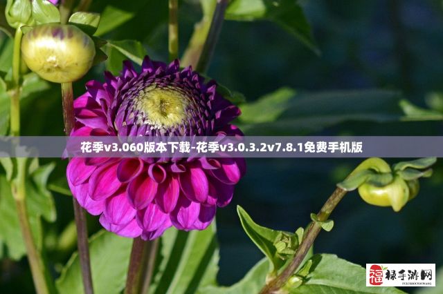 花季v3.060版本下载-花季v3.0.3.2v7.8.1免费手机版